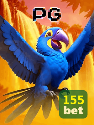 155BET bônus — cashback 15 por cento e níveis VIP
